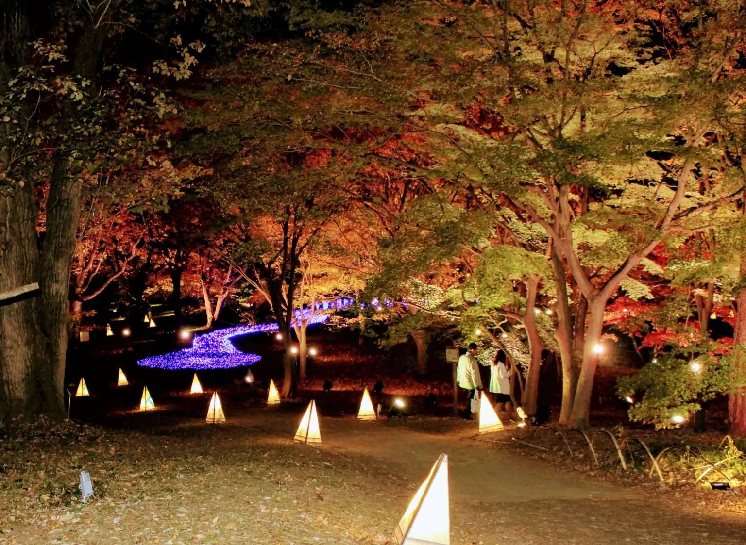 🌳 와라비 시민 공원 (蕨市民公園) 이미지 8